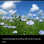 Roses , La Cressonniere: « veules & Victor «  * Veules-les-Roses