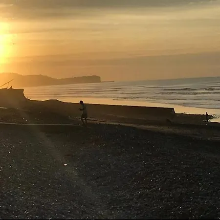 Roses , La Cressonniere: « veules & Victor « 